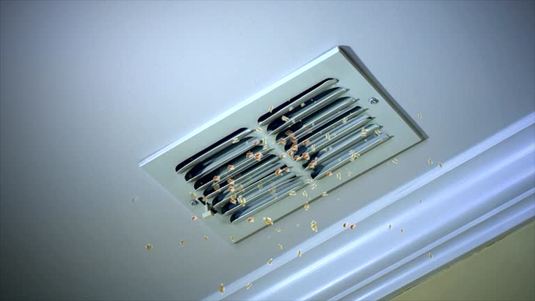 Best Air Vent Cleaning Services  in South Monrovia Island, CA